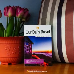 2024 Our Daily Bread Annual Edition Vol. 33