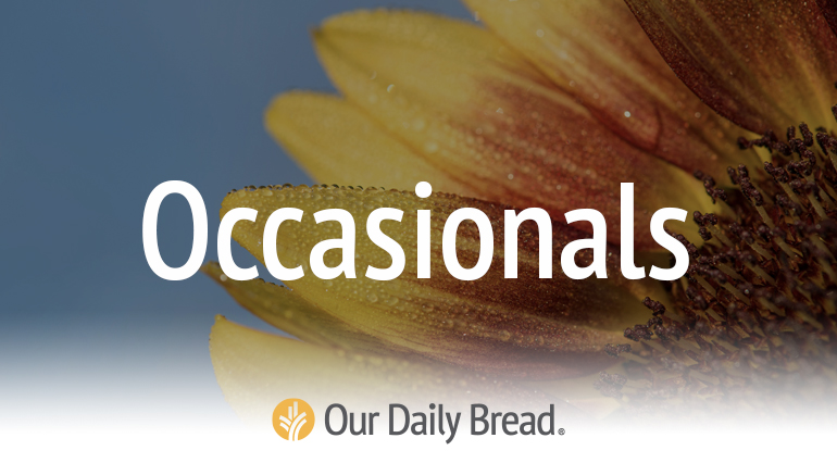 Our Daily Bread Occasional